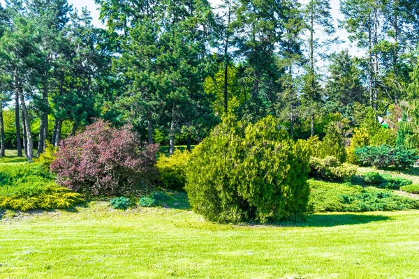 Piękny Zielony Krajobraz Botaniczny Ogrodzie Park Krzewami Kwiatami Trawnik Fregh — Zdjęcie stockowe