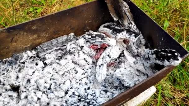 絶滅した炭でバーベキュー火鉢グリルの閉鎖 シャクリックや魚のケバブを準備するための石炭 バーベキューグリルで串焼きケバブ — ストック動画