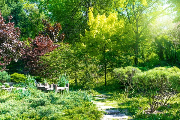 Piękny Zielony Krajobraz Botaniczny Ogrodzie Park Krzewami Drzewa Kwiaty Trawnik — Zdjęcie stockowe