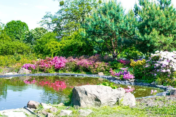 Hermoso Diseño Paisaje Botánico Verde Jardín Con Piscina Pequeña Estanque — Foto de Stock