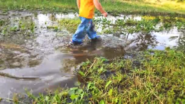 Bonito Adorável Caucasiano Pouco Criança Criança Garoto Brincando Fora Grande — Vídeo de Stock