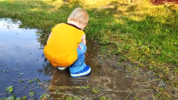 かわいいかわいい白人の小さな幼児の子供の男の子は 夏に森 家の裏庭で雨が降った後 水の大きな汚れ泥の水たまりで外で遊んでいます 子供時代の自由な概念 悪天候 — ストック動画