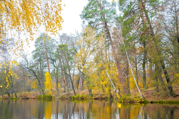 Scenic bright landscape golden multicolored autumn, fall tree alley with yellow leaves along pond. sky reflection mirrored in river lake surface. Beautiful october november nature outdoor background — Stock Photo, Image