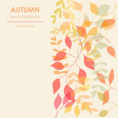 sonbahar yaprakları ile çiçek arka plan