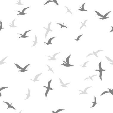 Sorunsuz uçan kuşlar