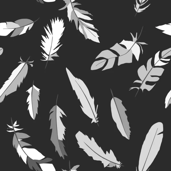 Black and white feathers — Stock Vector