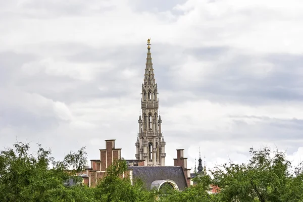 Kent Konseyi Brüksel Katedrali kuleye bakış — Stok fotoğraf