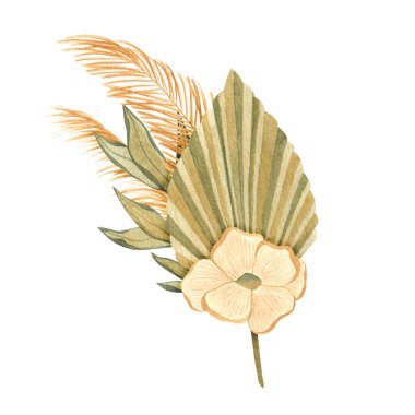 Suluboya kurutulmuş güneş pulm yaprakları buketler. Boho tropik tarzında elle çizilmiş çiçek çizimi. Düğün davetiyeleri, baskılar, posterler için mükemmel..
