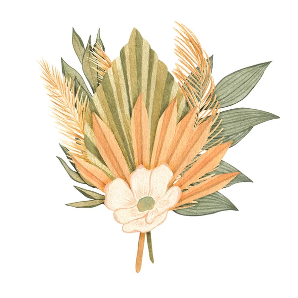 Υδατογραφία Αποξηραμένα Ήλιο Pulm Αφήνει Ανθοδέσμες Χειροποίητη Floral Εικονογράφηση Boho — Φωτογραφία Αρχείου
