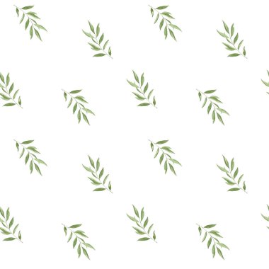 Suluboya yeşili zeytin yaprakları pürüzsüz. El yapımı botanik yeşillik. Düğün dekorasyonu, davetiyeler, tebrik kartları, kumaş baskıları, tekstil için arka plan tekrarı..