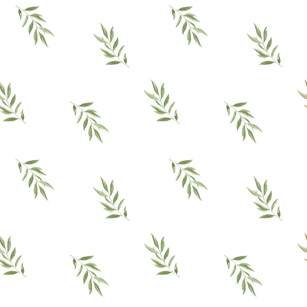 Акварельні Зелені Акварельні Оливкові Листя Безшовний Візерунок Ручна Намальована Ботанічна — стокове фото