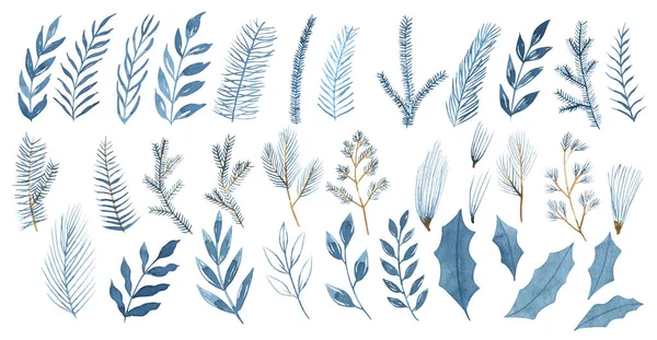 Akvarellszínű Kék Fenyőfa Fagyöngy Levelek Kézzel Rajzolt Téli Botanikai Illusztráció — Stock Fotó