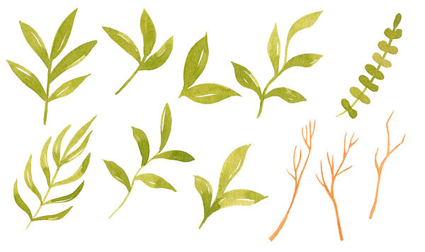Акварель зеленые листья и ветви набор. Ручной рисунок ботанических элементов дизайна для Пасхальной открытки, приглашения, весеннего украшения и другие.