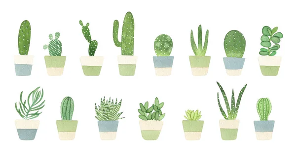 Waterverfpotten Cactussen Handgetekende Huisplanten Elementen Voor Stickers Wenskaart Ontwerp Logo — Stockfoto