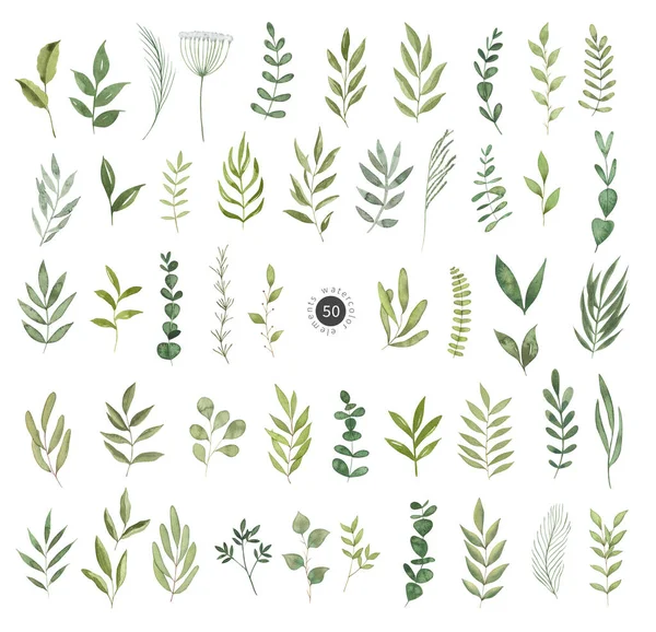 Akvarel Letní Zeleň Set Ručně Kreslené Botanické Ilustrace Zelenými Listy — Stock fotografie