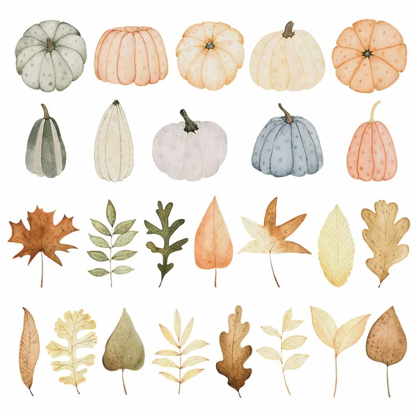 Aquarelle Automne Sertie Citrouilles Feuilles Illustration Automne Dessinée Main Pour — Photo