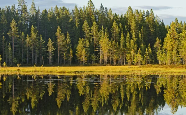 Mostrando bosque de otoño en el agua — Foto de Stock