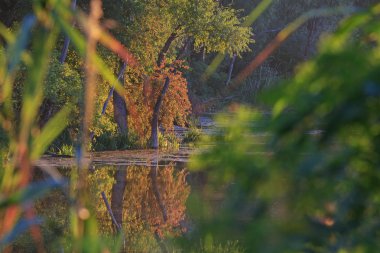 Yaratıcı yatay Fall River