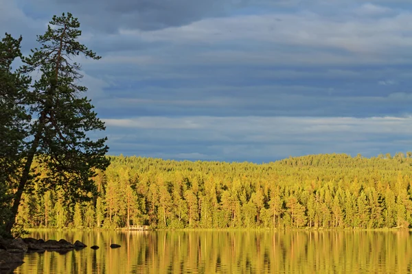 Hermoso atardecer en el lago del bosque — Foto de Stock