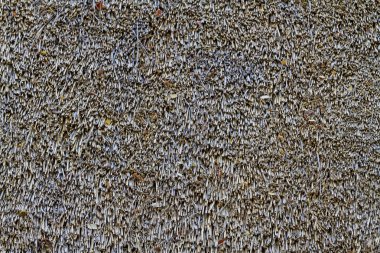 thatched çatı doku