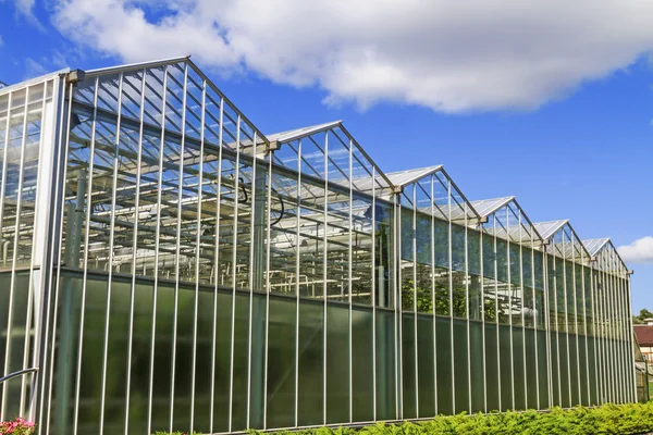 Greenhouse for growing vegetables — Stock Photo, Image
