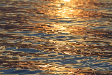 Gün batımında altın su