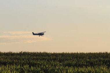 plane flying over corn field clipart
