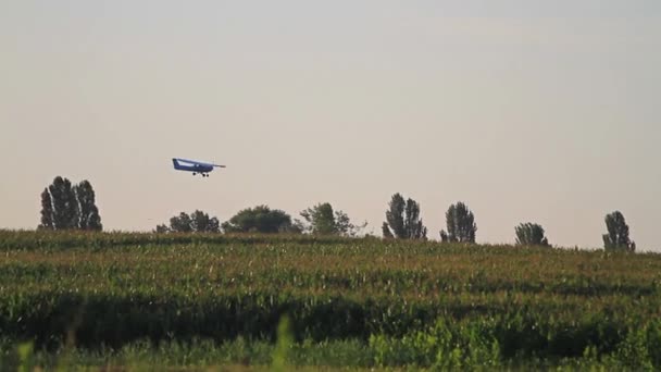 Самолет летит над кукурузным полем на рассвете — стоковое видео