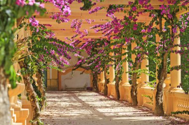 sütunlar arasında güzel çiçekler