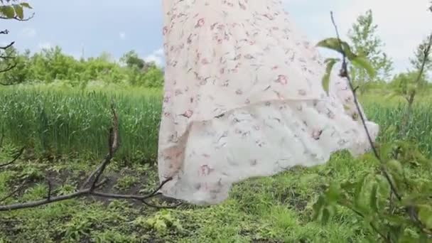Vestido se balancea en el viento en una rama de árbol — Vídeos de Stock