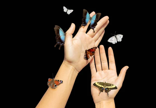Mulheres bonitas com borboletas isoladas no fundo preto — Fotografia de Stock