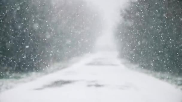 Neve macia enche lentamente a estrada — Vídeo de Stock