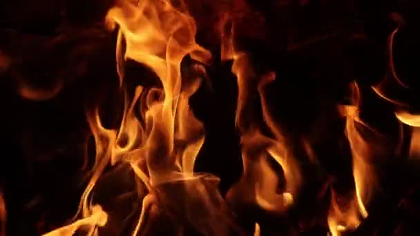 Piękny płomień w nocy spowolniony ruch — Wideo stockowe