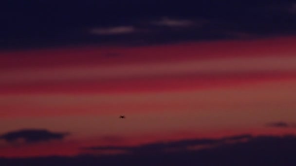 Une plaquette volante lentement au crépuscule — Video