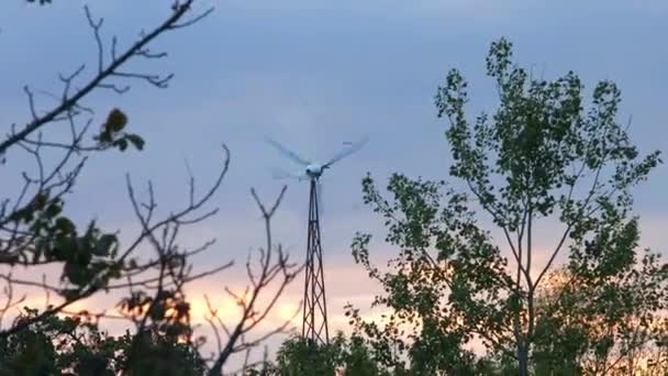 Вітрова турбіна на задньому дворі — стокове відео