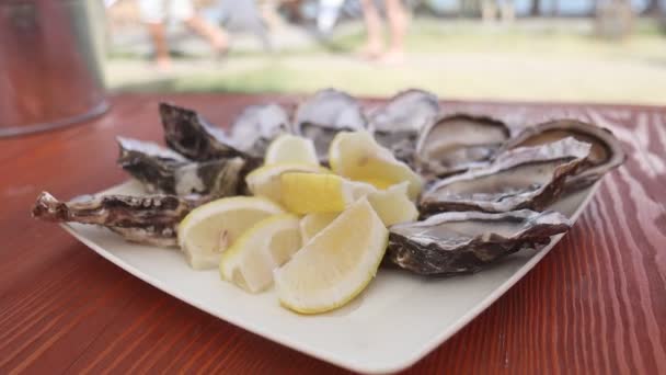 Plato con ostras en la terraza de verano — Vídeos de Stock
