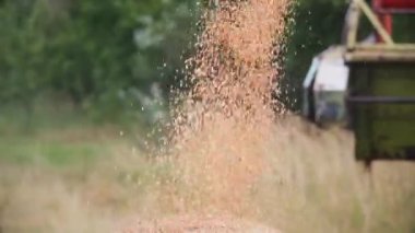 tahıl hasatçıdan uçar ve bir piramit döker.