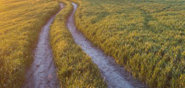 Güzel yol yeşillikler arasındaki mesafeye doğru gidiyor.