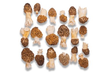 Morels, mantarlar beyaz tabakta, lezzet
