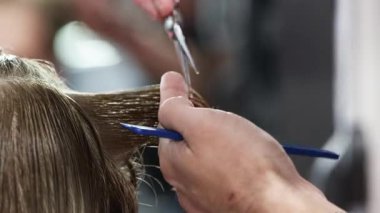 Kuaför Elleri 'nin Islak Saç Kesme Makası' nın Yakın Çekimi Makasla Bitiyor. Profesyonel Saç Biçimi, Güzellik ve Sağlık