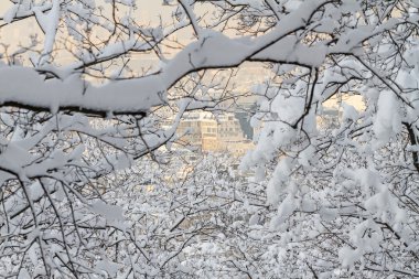 karla kaplı şehir