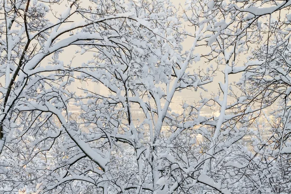 Cidade coberta de neve — Fotografia de Stock