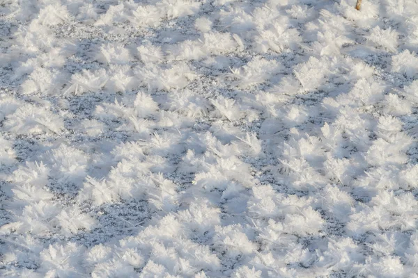 Texture de neige, l'hiver arrive — Photo
