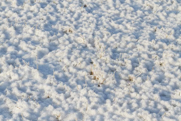 snow texture, winter is coming