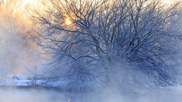 Lever de soleil d'hiver sur la rivière — Photo