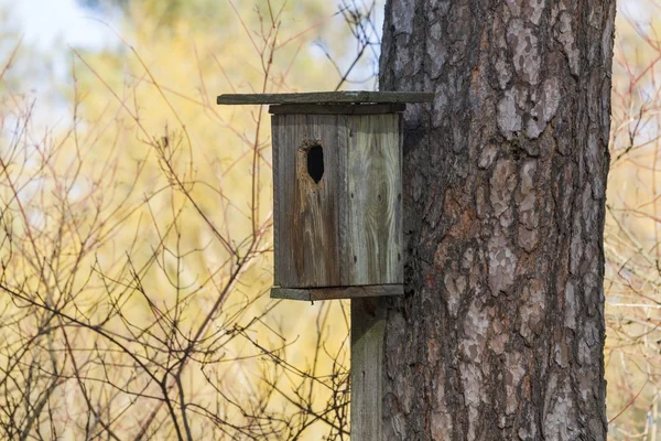 Vogelhaus an die Kiefer genagelt — Stockfoto