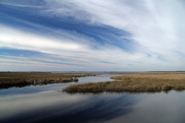 Doğal Körfez peyzaj