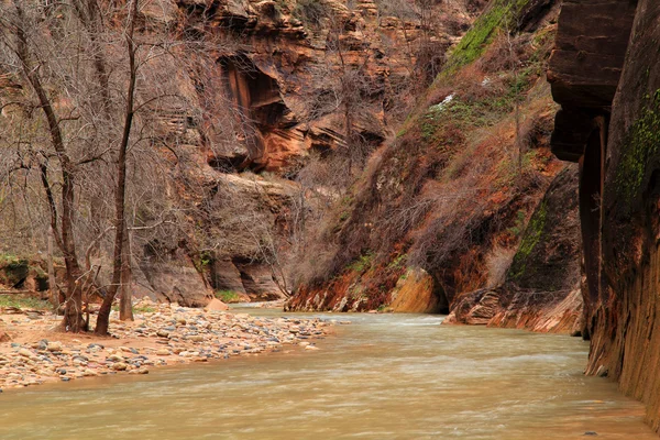 North fork van de rivier de virgin — Stockfoto