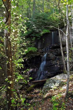 De Soto Falls