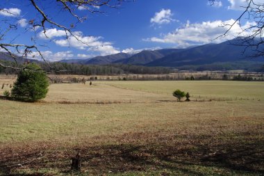 Doğal Cades Cove